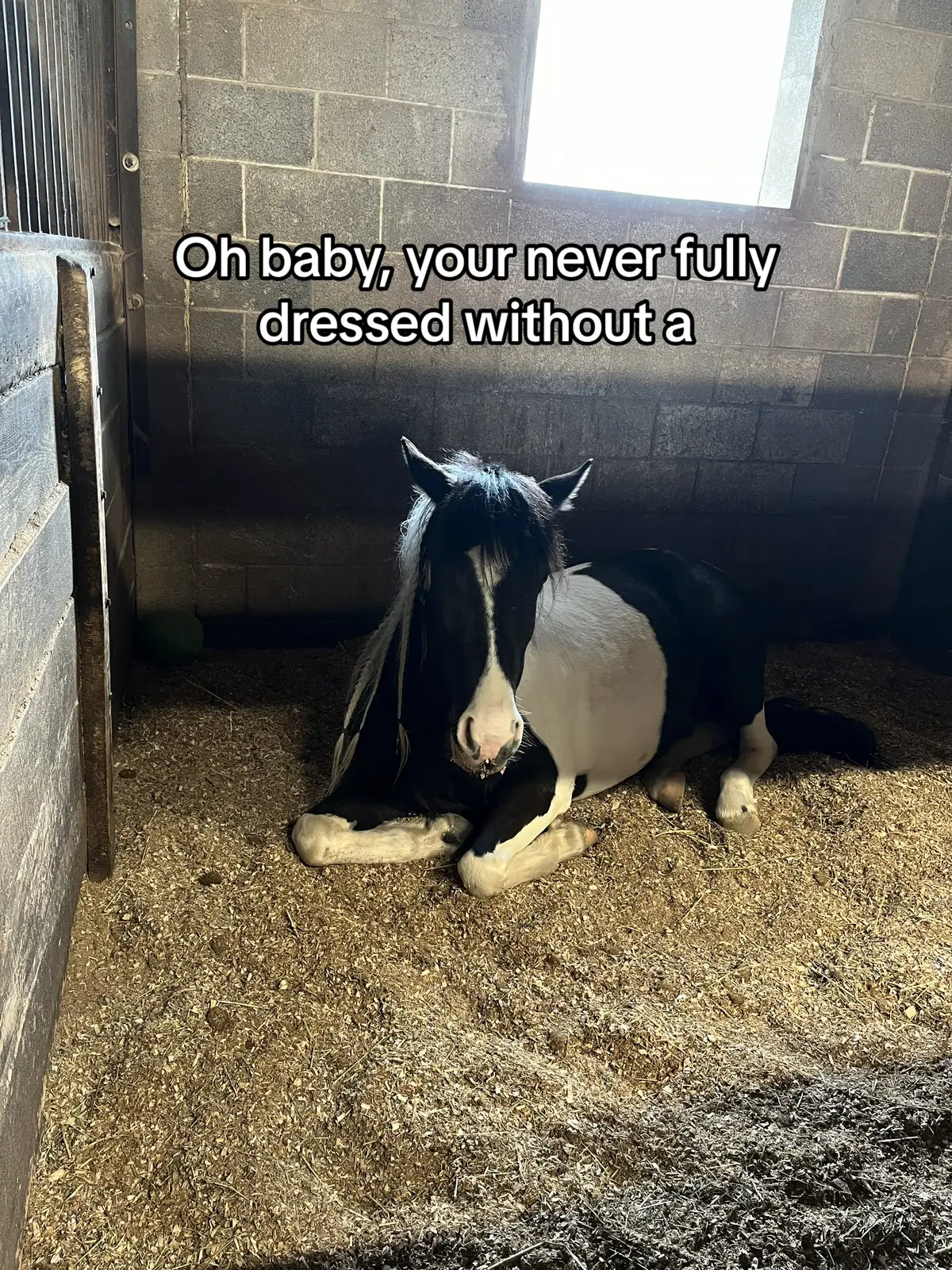 👁️👄👁️ smile #smile #yourneverfullydressedwithoutasmile #slaypony #pony #funny 