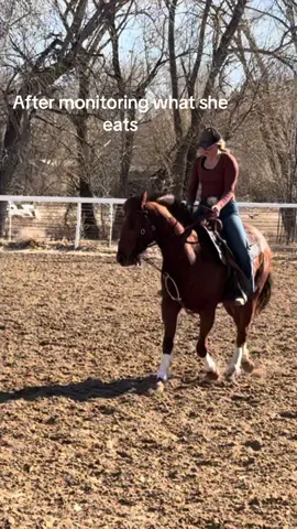 Proof that some horses can't just be put out in a pasture. Her overall body condition has improved so much with me giving her everything she eats. #foryou #foryoupage #fzperformancehorses #barrelracer #barrelracing #barrelracer #barrelhorse #westernhorse #southdakota #sorrel #sparkastreak 