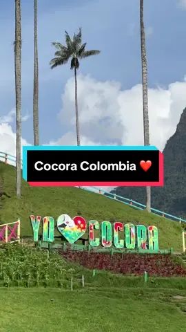 Así se siente visitarnos. Mirador de la Mano de Acaime 😍✨🌴 #valledecocora #miradorescolombia #palmadecera #quindiocolombia #quindio