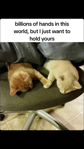 @ninijini #viral #fyp #gf #CapCut #relationshipgoals #couplegoals #ilovemybf #MemeCut #foryoupage 
