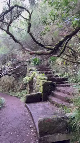 Hiking in Madeira is like…. Levada das 25 Fontes More than a year passed before I reached one of the most popular hikes in Madeira – Levada das 25 Fontes. Well, let me tell you, this trail is popular for a reason. It’s very diverse and definitely worth a visit. You’ll encounter several waterfalls, at least two of which are among the most picturesque in Madeira. Moreover, the trail itself is very atmospheric and not too challenging, making it suitable for almost any hiking level. I would call this trail family friendly for sure 👌🏻 Are you going to add this hike in bucket list for your future trip to Madeira? #ExploreMadeira #HikingParadise #IslandEscape #OutdoorExploration #naturalwonders #HikeWithMe #DiscoverMadeira #Wanderlust #NaturePhotography #GetOutdoorsMore #BucketListDestination #HikingTrail #Madeira #HikingAdventure #WaterfallHike #TravelAdventures #NatureWonders #HikingTrip #ExploreOutdoors #Island #TrailBlazing #ScenicRoutes #waterfalls💦 #OutdoorEscape #WanderlustJourney #NatureHike #HikeLife #AdventureSeekers #InstaExplore