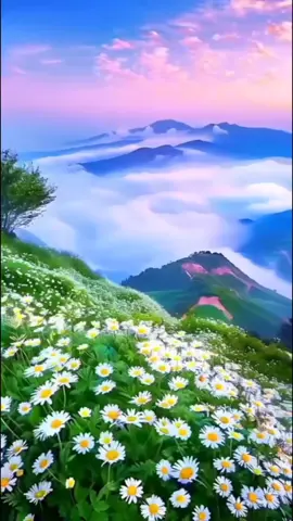 ‏#دويتو مع @Nubar Abbasova @Nubar Abbasova @Nubar Abbasova صباح جميل #عبيرحجازى #fyp #fypシ゚viral #اكسبلور #everyone #foryou #لك #طبيعه_خلابه #موسيقى #زقزقه_العصافير #صباحكم_أحلى_صباح #صباح_الخير #يسعدلي__اوقاتڪۘم 