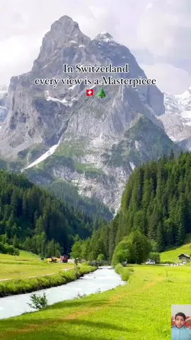 🚩 Beautiful Switzerland 🇨🇭🪴⛰️🏡🍀🌸 #fyp #nature #switzerland #travel #wildlife #naturalbeauty #adventure #viral #naturelover @Swissaround @swisswoow 