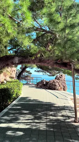 🫶 | Walking heaven 🚶‍♂️🚶‍♀️❣️ 🏖 Apartments in Brela: @villaamorebrela • • • • • #bookingcom #villaamorebrela #brela #croatia #booking #croatiafulloflife #croatiavacation #makarskarivierabeaches #croatiafullofmagic #croatiabeach #apartment #villa #summervibes #summer2024