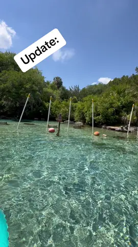 Still have not caught him!  On the next update, I will get underwater footage. Stay tuned #springzilla #creature #springs #florida #clearwater #signs #staytuned