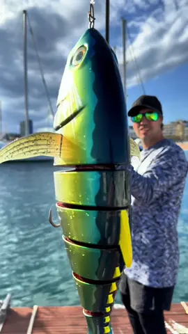 😱MINI-ATUN 50CM Y 1KG😱 #spinning #pesca #fishing #lure #tuna #viral #fyp #foryou 