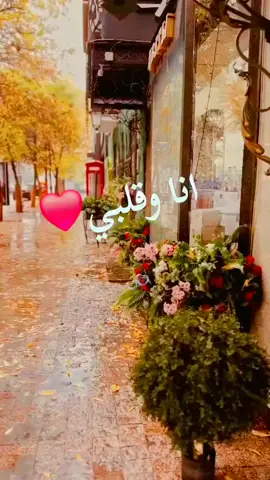 #انا#وقلبي#فدا#عيونك 