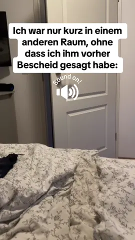 Ich hab vergessen mich abzumelden. #fypシ #catsoftiktok #cattok #katze #katzenvideos #cat #relatable 