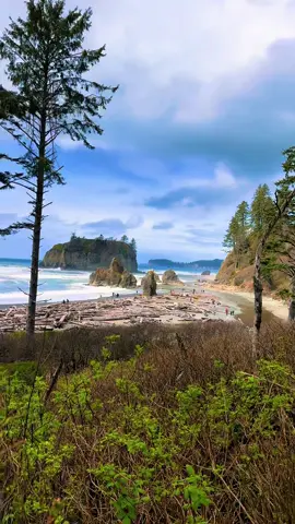 “Ruby Beach is the northernmost of the southern beaches in the coastal section of Olympic National Park.”#olympicnationalpark #washington #state #fyp 