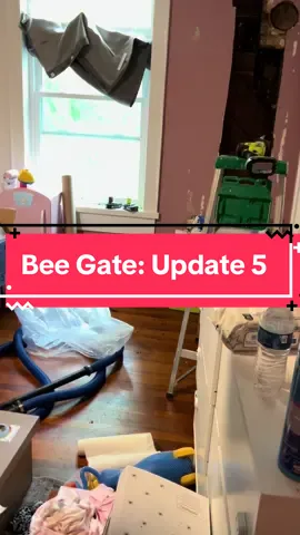 Update 5 on BeeGate. The Charlotte Mecklenburg Beekeeper’s Association connected us with Curtis, who has helped us with this whole process. Count estimated at 60,000 bees so far 😅 #savethebees #bees #charlotte #MomsofTikTok #toddlersoftiktok 