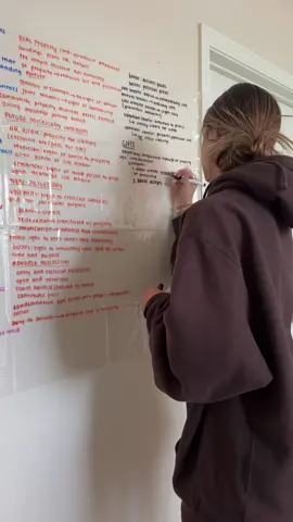 if only i learned this before finals week senior year (credit to @jo-z for the idea!!!!) (and to @Sarah🪩🌷🐋 being the one to buy the curtain) #studyhacks #college #law #collegehacks #undergrad 