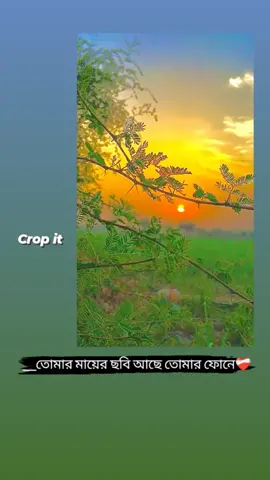 Crop video 💫🫶🥰#foryoupage #bdtiktokofficial🇧🇩 