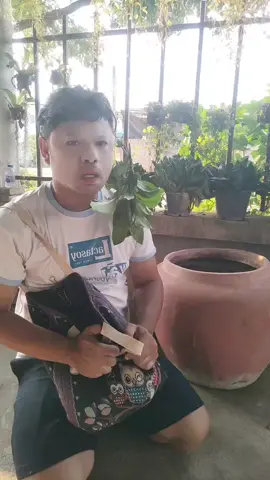 ขอเลือกคำว่าเจ็บ เก็บเอาไว้ #cover #music #เพลงดังในtiktok #ตั๊กแตนชลดา #ขออนุญาตเจ้าของคลิป #ขออนุญาตเจ้าของเพลง #viral #fyp #tiktok #TikTokUni #foryou #ตลก #เธรด #ฟีดดดシ #ฮาๆ #คนไทยเป็นคนตลก #555 #ปันสุข #ตูนอ้อมกอดแรกใจ 