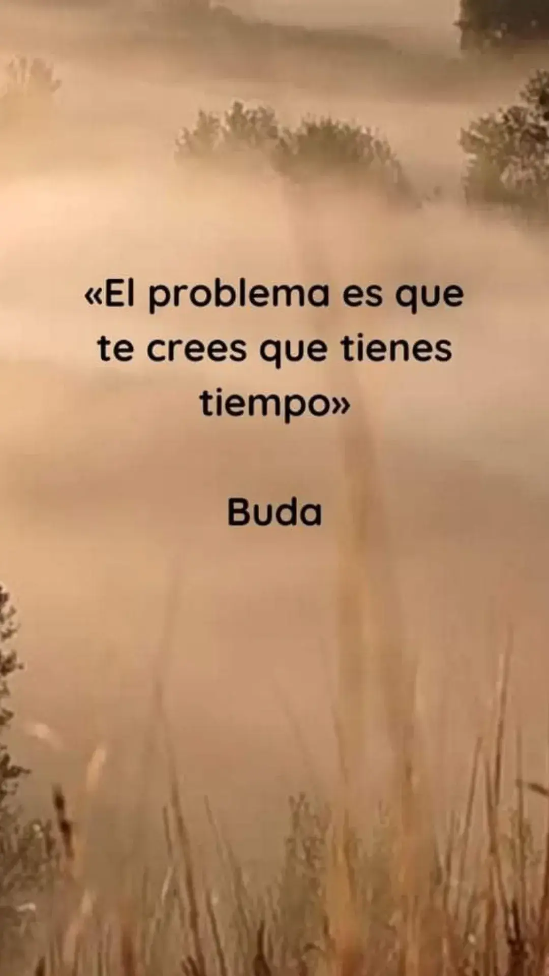 #buda 