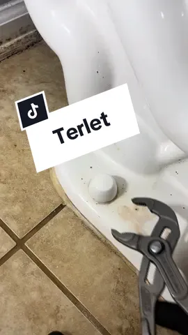 Replacing a Toilet