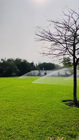 Sistema de riego por aspersion emergente automático para areas verdes. 🌿💦💧 En el presente proyecto se uso los Aspersores emergentes de la serie 5000 de RAIN BIRD. #riegoautomatico #automatización #jardineria #greenrain #rainbird #aspersoremergente #áreas verdes  
