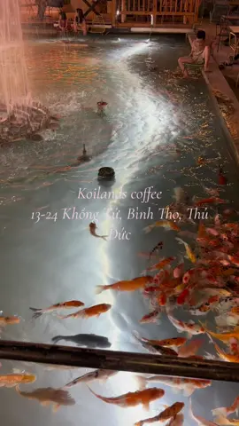 #Master2023byTikTok #TikTokAwardsVN2023 #koilandscoffee 