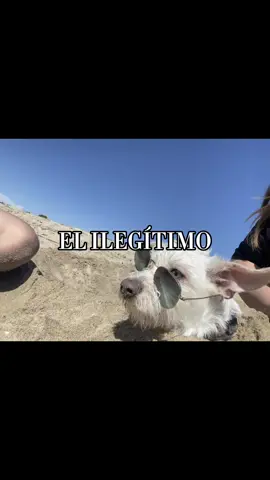 No el perillo 😭😂 #labcreativo #familiapeluche #funny #foryoupage 