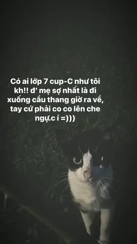 #tamtrang #xuhuong #her #foryou 