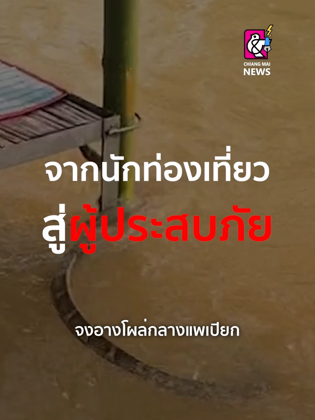 จากนักท่องเที่ยวกลายเป็นผู้ประสบภัย จงอางโผล่กลางแพเปียกแม่สรวย.. . #tiktoknews#เชียงใหม่นิวส์ #chiangmainews