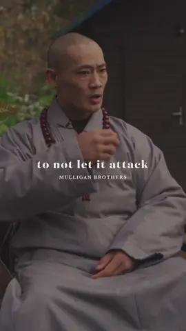 🫸 DON'T let insults attack you #shihengyi #shaolin #wisdom #teaching #spirituality #insults @shaolin.online