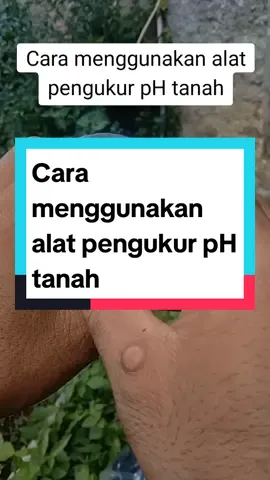 Cara menggunakan alat pengukur pH tanah#phmetertanah #alatpengukurphtanah #phtanah 