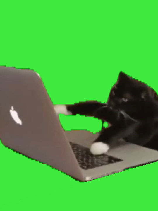 https://store.line.me/stickershop/product/1783992/ja #ホラー猫ミーム　#バトル猫ミーム　　#猫マニ  #BTLcatmeme　#BTLcatmemes　　#猫マニア  #猫ミーム日常　#horror　#catmeme #catmemes　 #greenscreen #cat　#猫ミーム素材 #猫ミーム 　#GB　 #dogmeme #犬ミーム 　#dancecat 　#dancingcat  #チー牛　#チーズ牛丼 　#オタク 　#オタクあるある 　#陰キャ