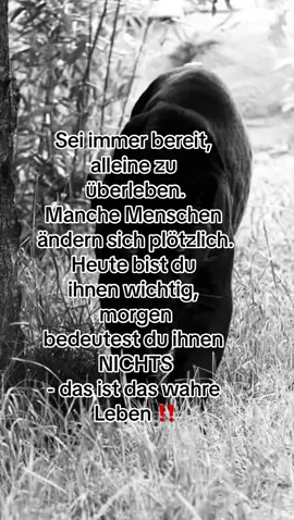#alleine #überleben #wichtig #wahreworte #traurigesprüche #sprüche #zitate #sprücheundzitate #sprüchezumnachdenken #fy #fürdich 