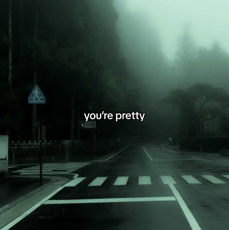 ✧･ﾟ: *✧･ﾟ:* || you’re pretty pretty like this song ⋆ ˚｡⋆୨୧˚ #fyp #official #viral #music #calm