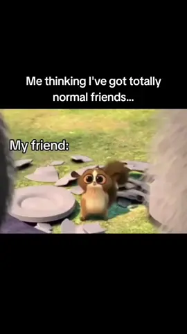 Daily dose of memes pt. 452 #memes #funny #mort #kingjulien #reletable #foryoupage 