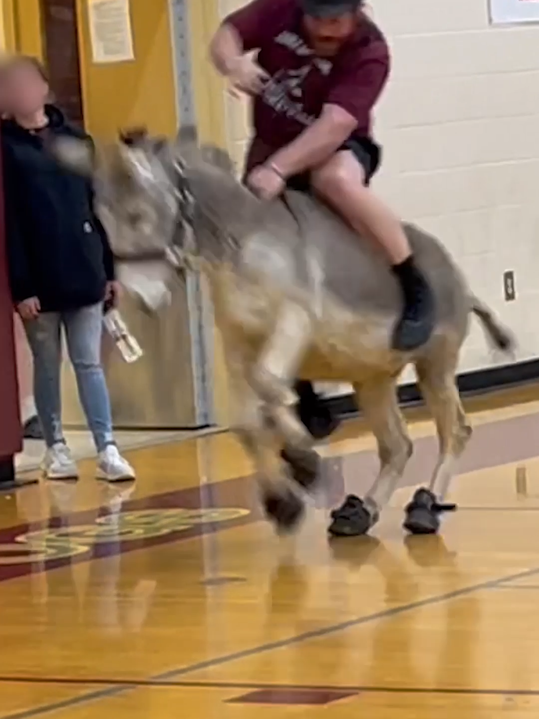 Donkeys are NOT sports equipment or pawns for your school's fundraiser! Not only is this incredibly dangerous for the donkeys & people, but you’re also teaching kids that it’s OK to abuse & humiliate sweet, intelligent animals 💔 Want to help stop cruel events like this at schools? Follow @teachkindteachers for more animal rights and education content!