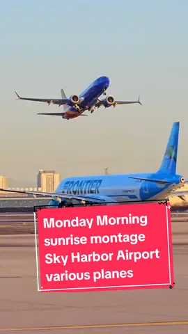 Monday Morning Sunrise montage for your viewing pleasure. here's your chance to watch planes from Southwest, American, Delta, Frontier, United and Alaska as they all depart from runway 8 into the early morning beautiful sunrise in Arizona. Would love to hear which one is your favorite? #planespotting #planes #skyharbor #airbuslovers #boeinglovers #a321 #b737 #kphx #ramplife #ramper #avgeek #s23ultra #montagevideo #aircraft #pilotlife 