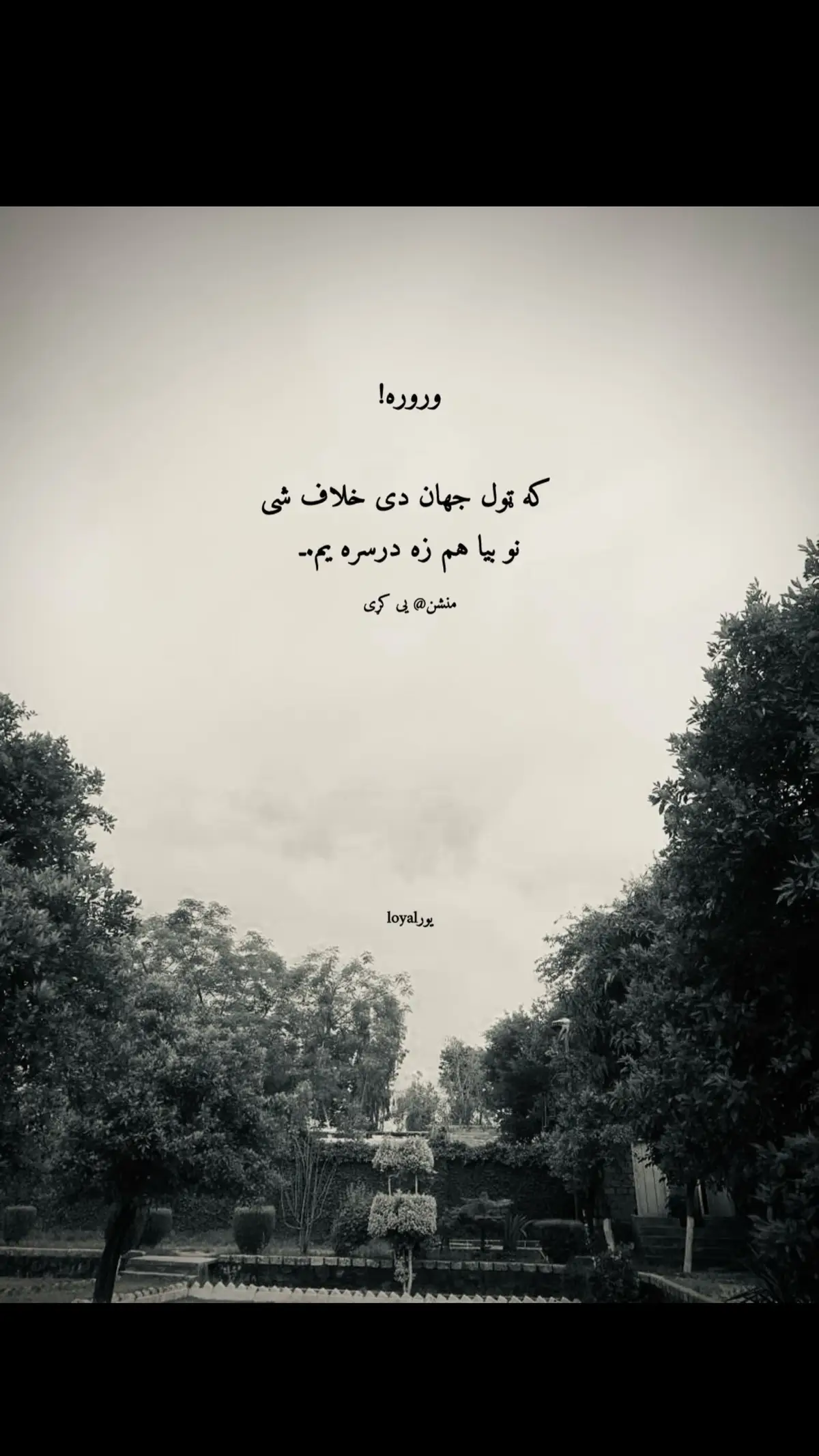 #fyp #🥹 #😂 mention krai jigar #sadlines😥😥😥💔😭 #💔🥀 #🥀🖤 #pashtoquotes #quotes #pashtopoetry #🇦🇫🇵🇰 #lines #itxloyal4 #🇵🇰🇦🇫 #afghanistan🇦🇫 #pakistan @PTI OFFICIAL @Rahmanullah 21 