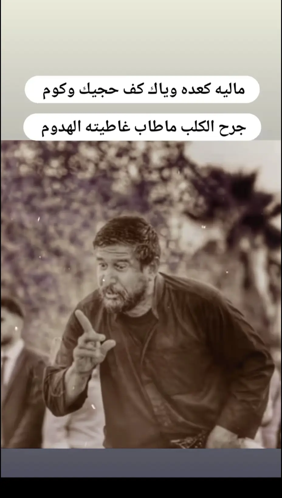 #محظور_من_الاكسبلور🥺 #فاگد_ولف💔 #عباراتكم_الفخمه📿📌 #ابوذيات #دارميات #العراق_بغداد #شعر 