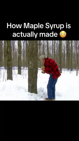 Thats a satisfying process 😮 #howto #made #syrup #maplesyrup #sap #trees #fyp #tiktok 