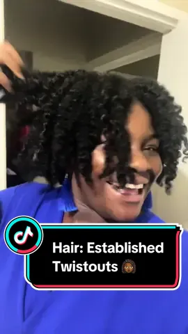 Replying to @Khrystal Dimonique| Fashion  Are twistouts my new thing? 😍 @adwoa beauty Leave In Comditioning Styler  #naturalhair #type4hair #naturalhairstyles #twistout #curlyhair #fyp #CapCut 