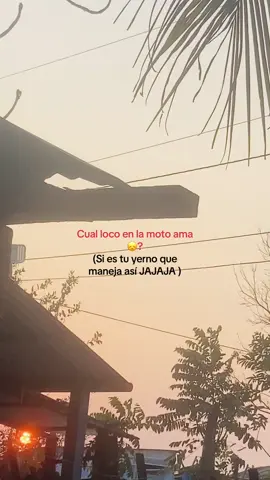🐢?#viralvideo #frasesdeamor ##❤️ #viraltiktok 