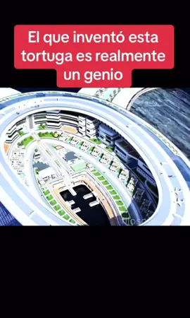 Un barco tortuga para el 2025🥶#tortuga #barco#ship #parati 