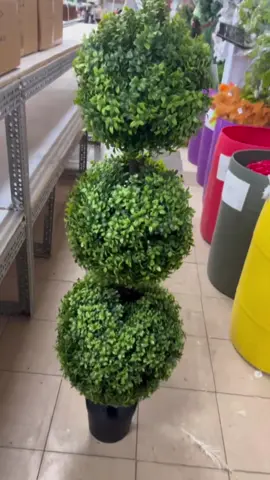 FINALLY ARRIVED!!! So many have asked for these along with our square boxwoos wreath!!  48 Inch Boxwood Topiary Tree SKU:E6624717-KD This beautiful boxwood topiary tree is the ideal addition to enhance the curb appeal of your home. Shop at tmigifts.com  #boxwood #boxwoodtopiary #boxwoodwreath #porchdecor 