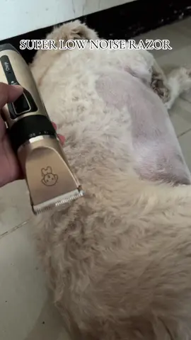 Highly recommended PET HAIR CLIPPER super low noise hindi nga alam ng aso ko ginugupitan na siya 😅 #pethairclipper #petrazor #dog #fyp #viral #trendingvideo 