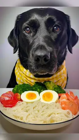 Don Don eat so cute 🥰  #Dog #dogeating #pet #cute #asmr #viral #foryou 