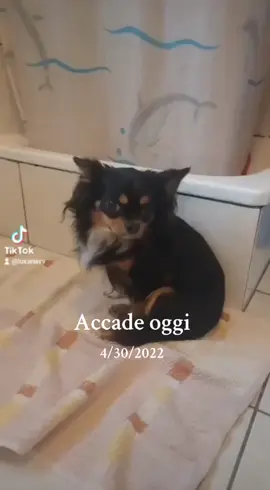 #accadeoggi 