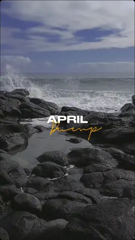 April, you beauty 😍  #CapCut #mylifeinapril #April #aprildump #2024 #captured #moments #trend #trending #memories #travel #fyp #month #lifeinamonth #myyear #video #collage #mashup #abcxyz #life #living #tooshort #nzliving #nz #nztravel #kids #family #withyou #mylife #dowhatyoulove #happy #content 