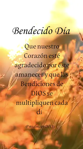 BENDECIDO DÍA  Que nuestro Corazón esté agradecido por este amanecer y que las Bendiciones de DIOS se multipliquen cada día. Este día será definitivamente Maravilloso porque DIOS nos acompaña y nunca nos desampara. NUNCA OLVIDES  Buscar a DIOS todos los días, ya sea por la mañana o por la noche, pero busca conocer a DIOS, aprende de Él, de su Palabra. Para que en consecuencia venga la Bendición, venga todo aquello que necesitamos. DIOS siempre está dispuesto a recibirnos con los brazos abiertos, Hoy busca a DIOS y llénate de Él. Sólo tienes que levantarte, Orar, Agradecer y antes de salir de casa decir: 