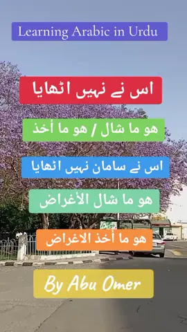 Learn Arabic in Urdu 📚👍✅ #arabic #learnarabic #arabiclanguage #howtolearnarabic #howtospeakarabic #arabicgrammar #foryou 
