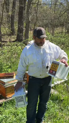 Took a quick break from the welding shop today and went install some honeybees into there new hives.#chiassonsmoke #welding #diyprojects #honeybee #homesteading 