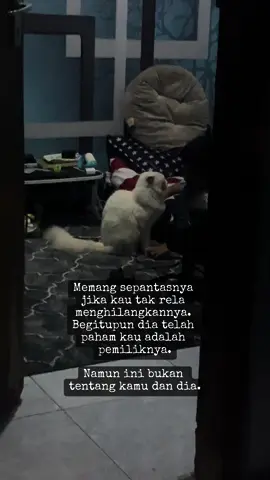 Banyak hal yang perlu kalian tahu tentang ceritanya. Tapi aku yakin dia tak akan bisa menceritakannya. Dia tak berharap dimaklumi,,dia hanya ingin dengan caranya sendiri, abaikan saja, mungkin itu cara yang ia mau. #kamutidaksalah 