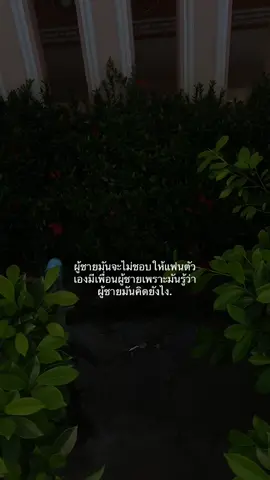 #CapCut #เธรดความรู้สึก #เธรดเพลง #tiktok #ยืมลงสตอรี่ได้ #fypシ゚ .