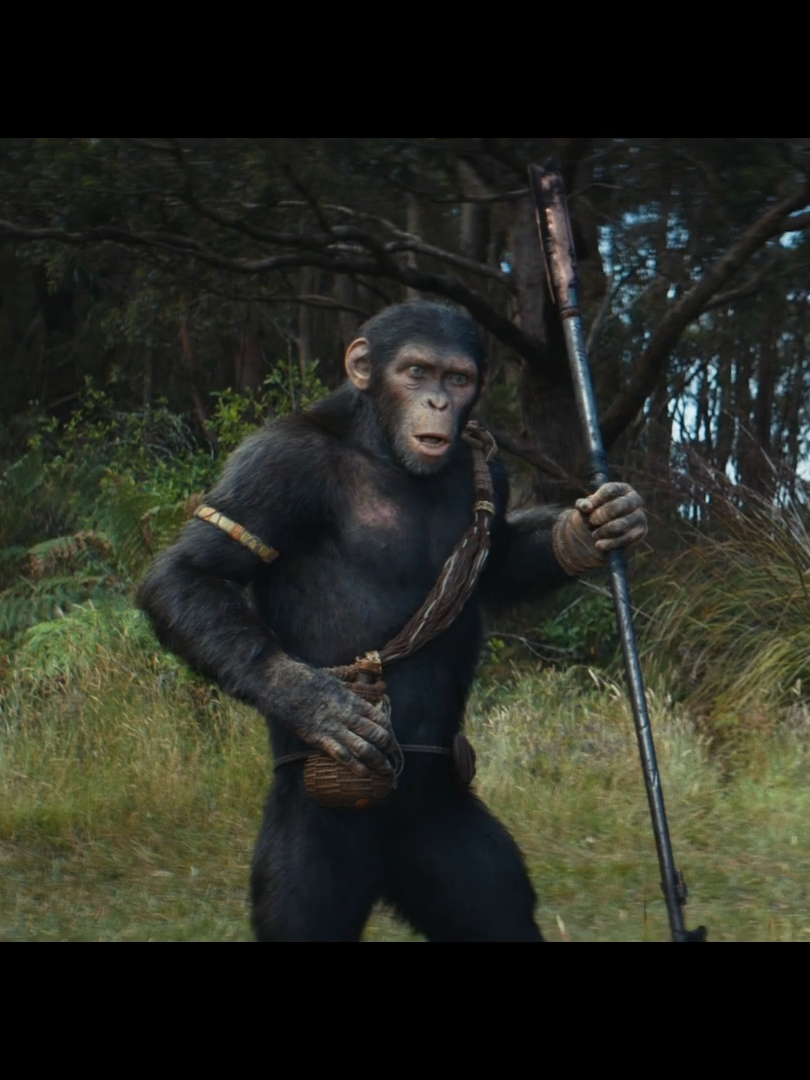 Watch the FINAL TRAILER for Kingdom of the Planet of the Apes, coming to GSC this 9 May! 🦍Tickets will be available very soon! Stay tuned 🦧 #KingdomOfThePlanetOfTheApes #KOTPOTA #SembangEntertainment #NewReleases #MovieRecommendations #FinalTrailer