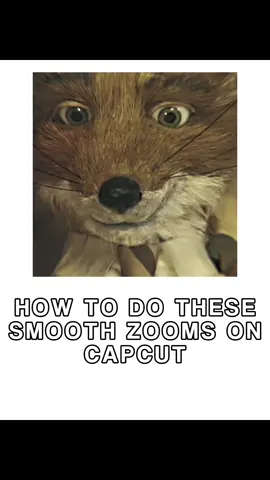 SMOOTH WOODL STYLE ZOOMS CAPCUT TUTORIAL // zepzad // #zepzad #edit #capcut #tutorial #woodl #fantasticmrfox